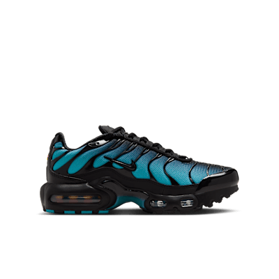 Nike Air Max Plus blue