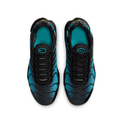 Nike Air Max Plus blue