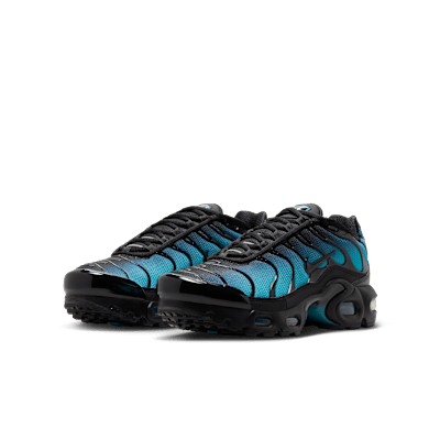 Nike Air Max Plus blue